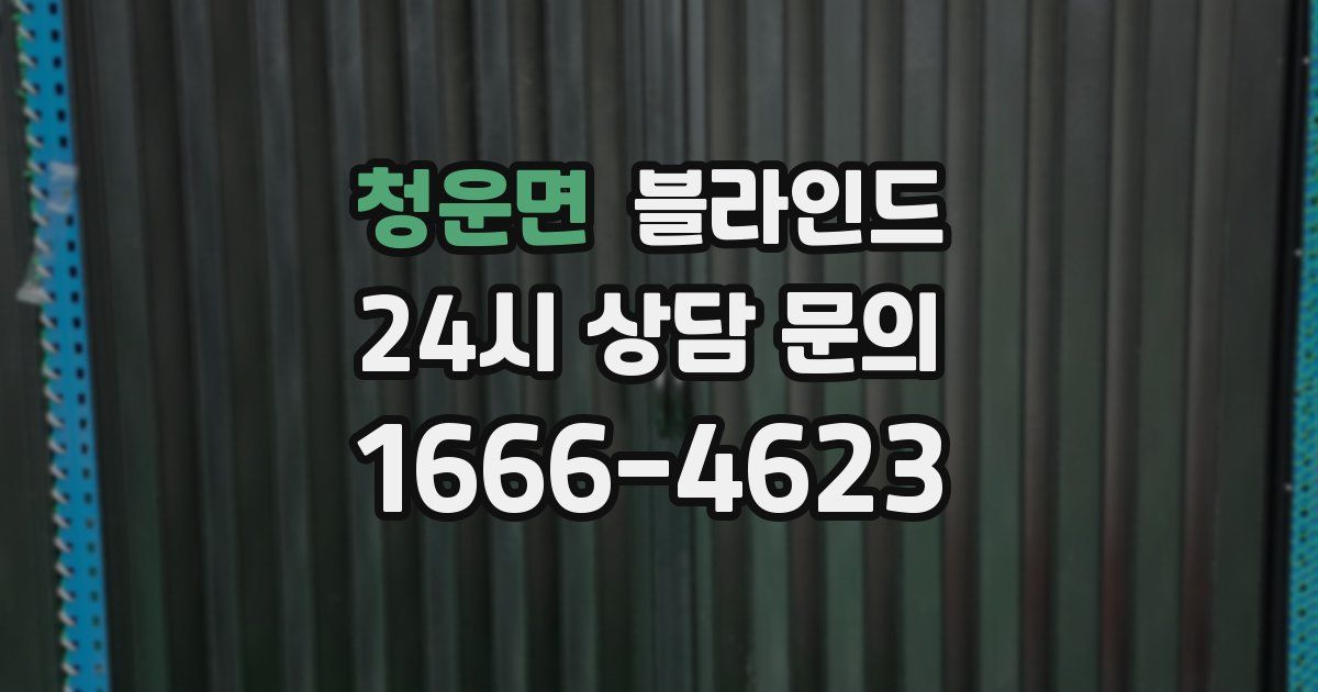 청운면 블라인드