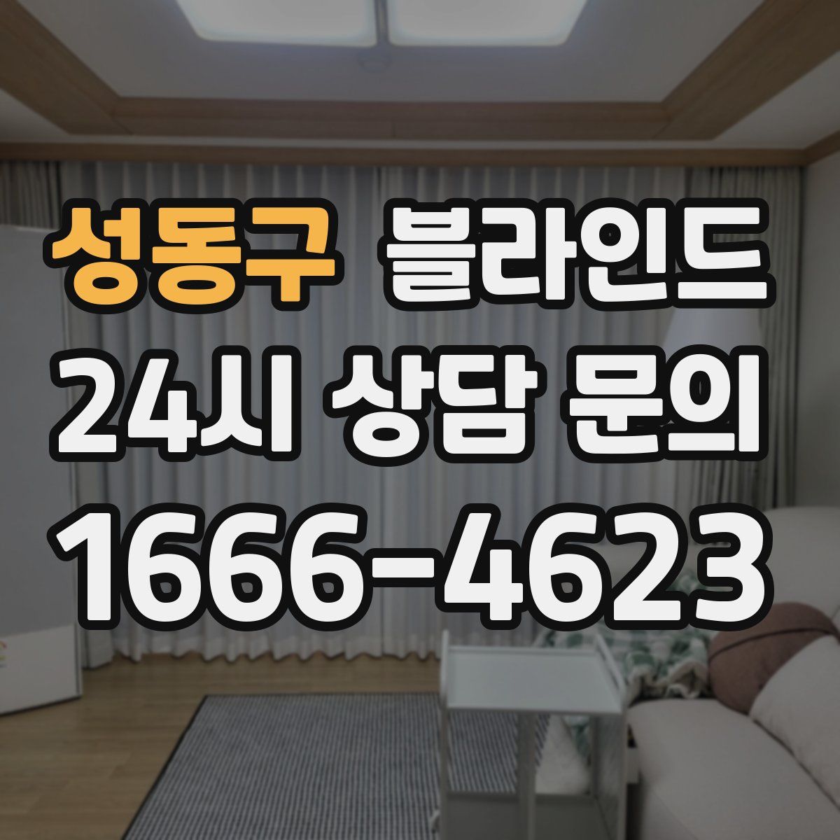 성동구 블라인드