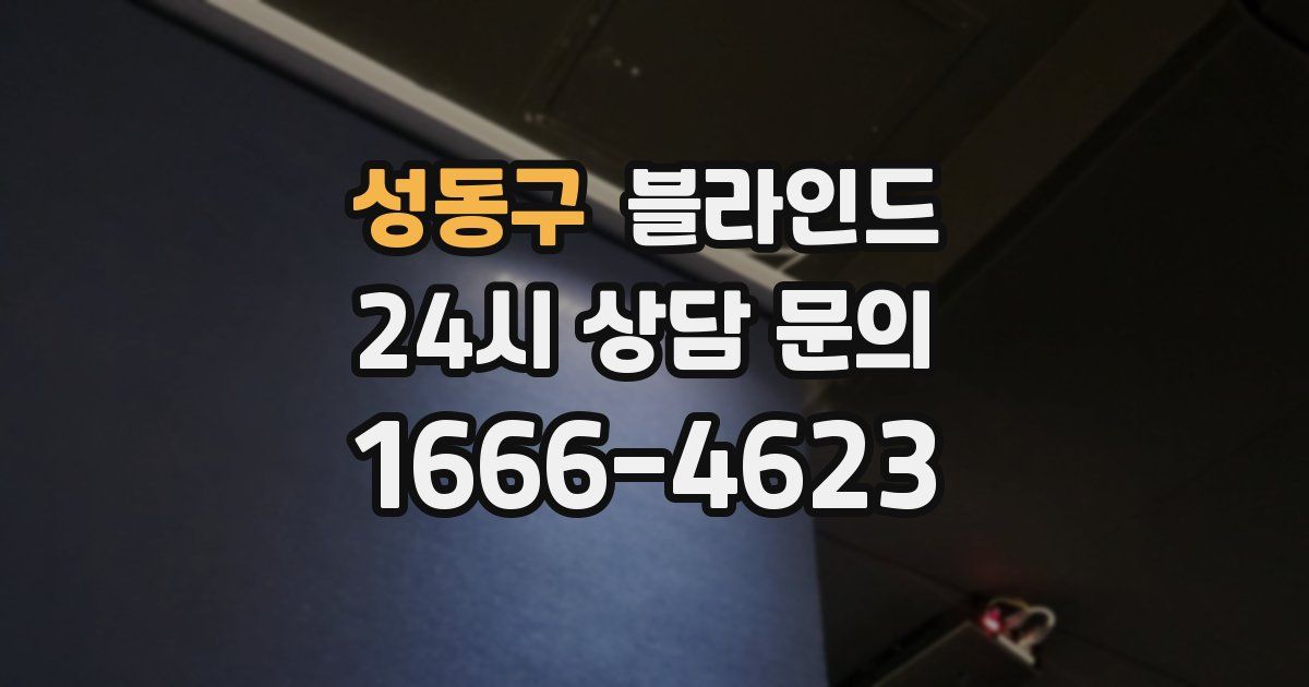 성동구 블라인드