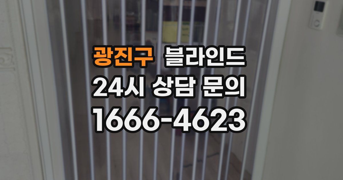 광진구 블라인드