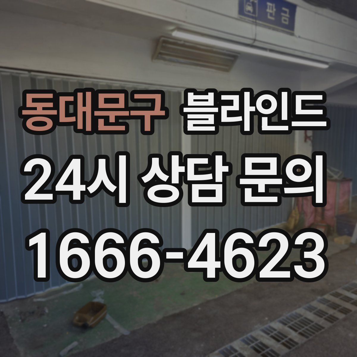 동대문구 블라인드