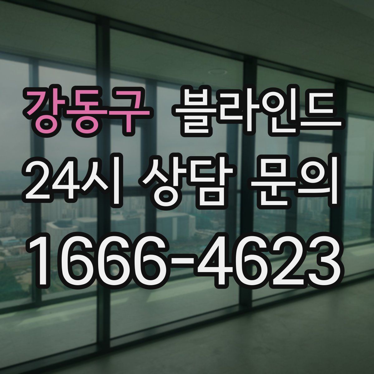 강동구 블라인드