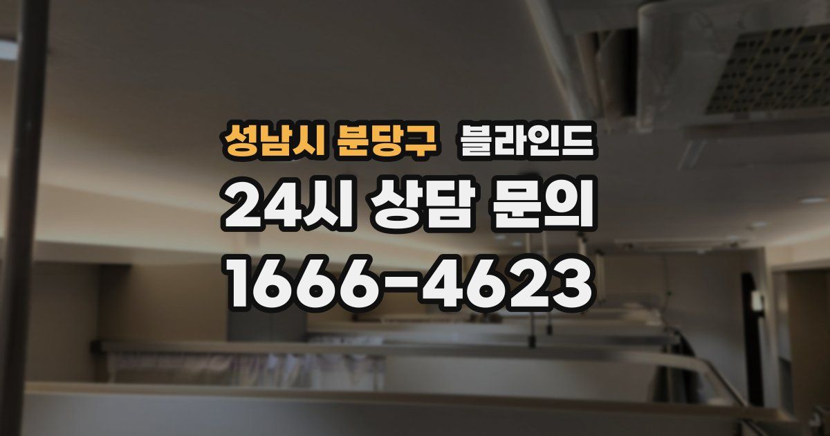 성남시 분당구 블라인드