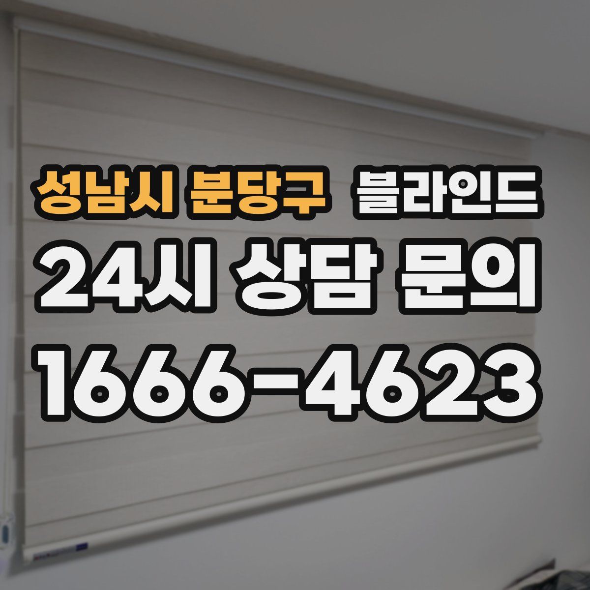 성남시 분당구 블라인드