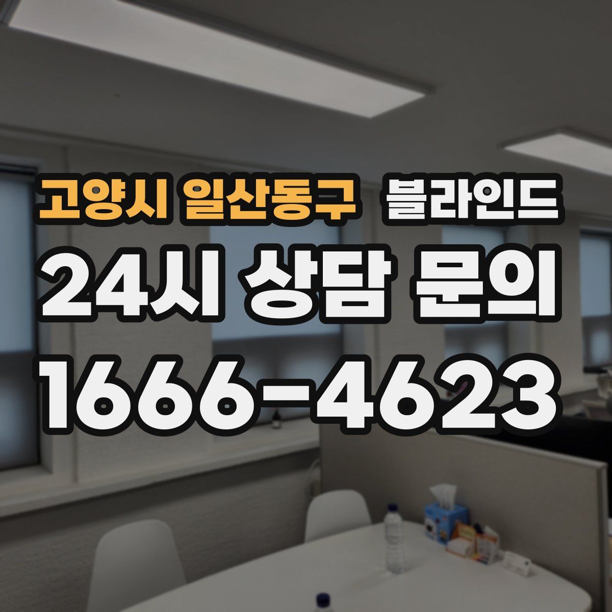 고양시 일산동구 블라인드