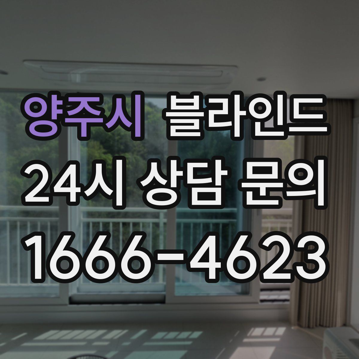 양주시 블라인드