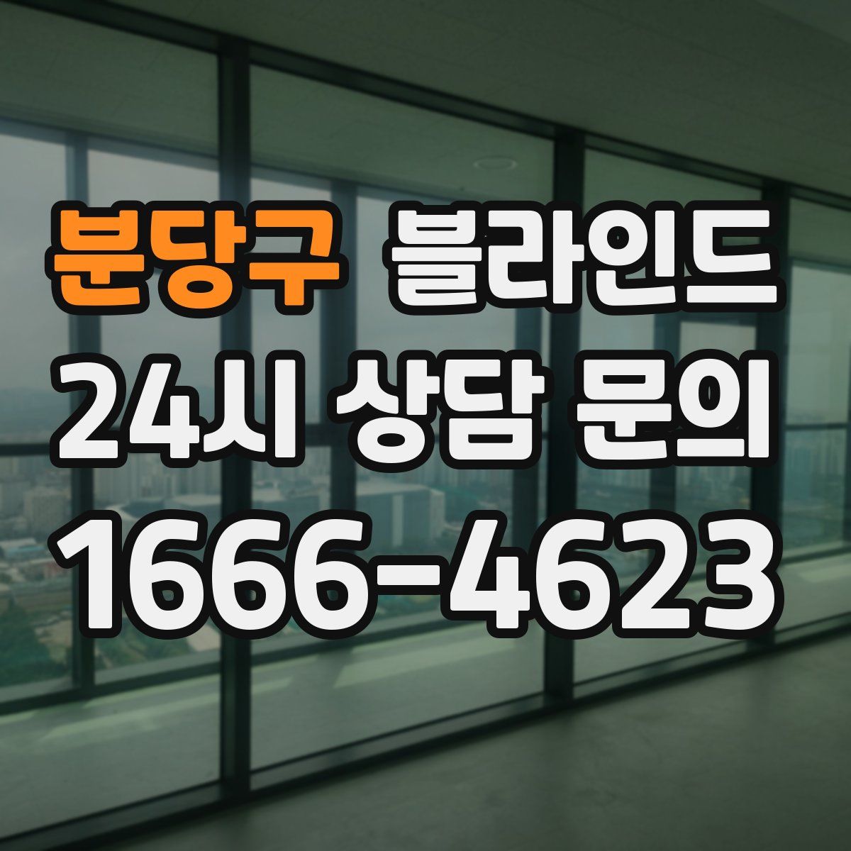 분당구 블라인드