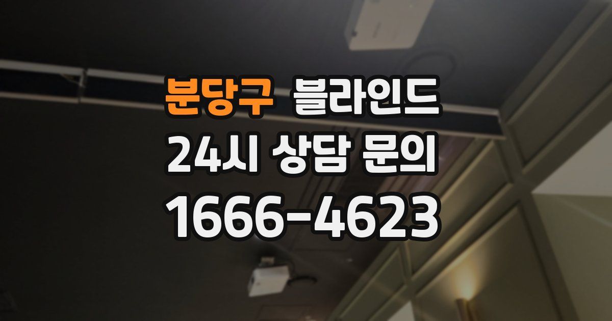 분당구 블라인드