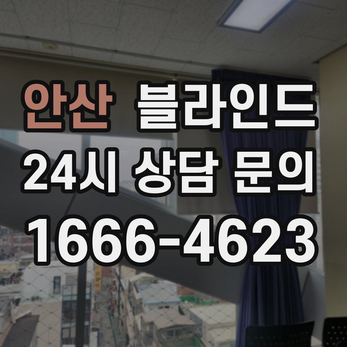 안산 블라인드