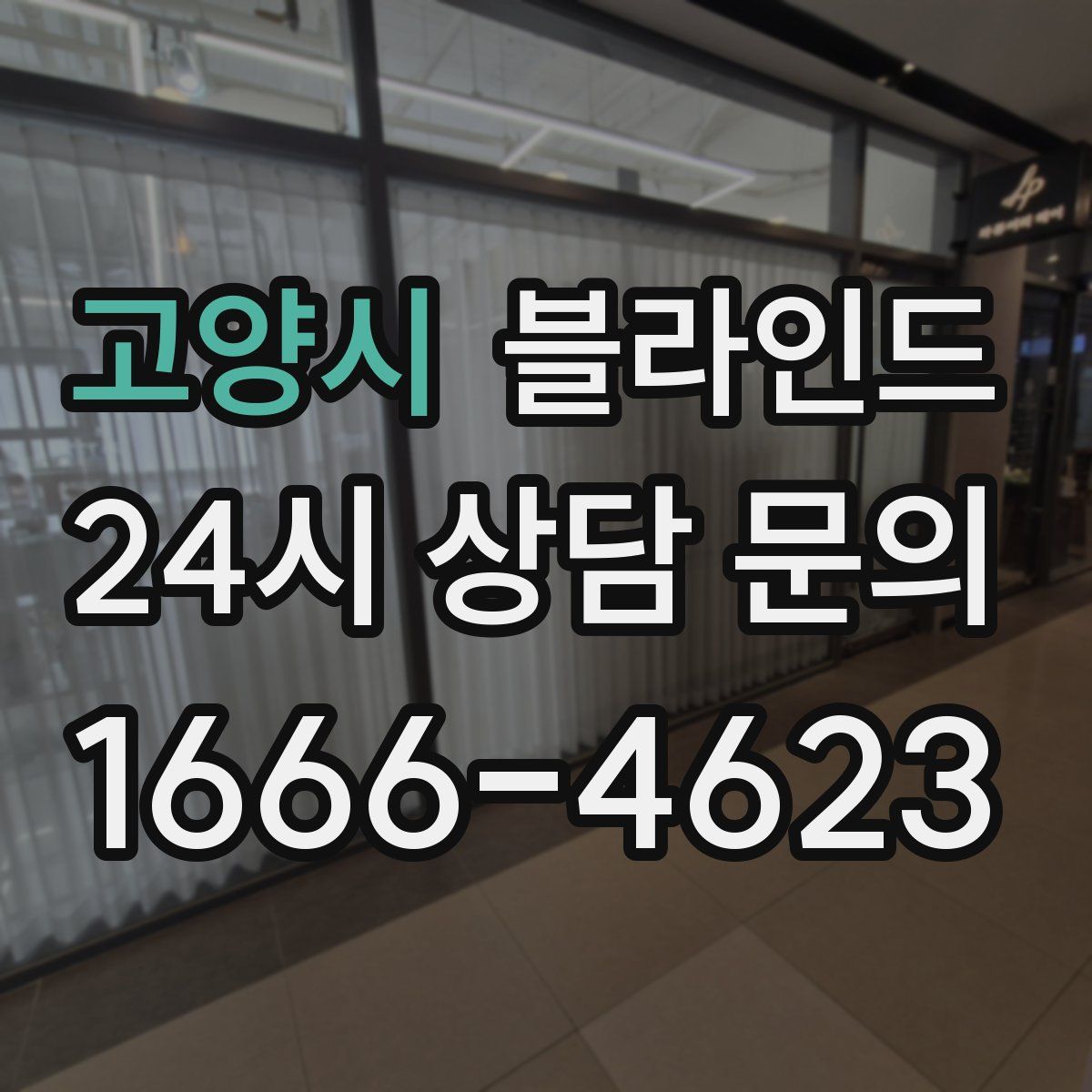 고양시 블라인드