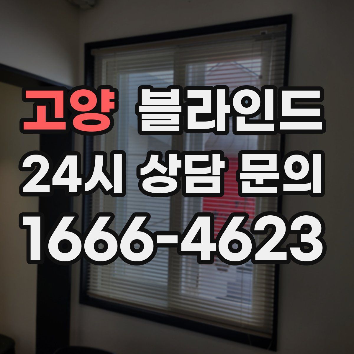 고양 블라인드