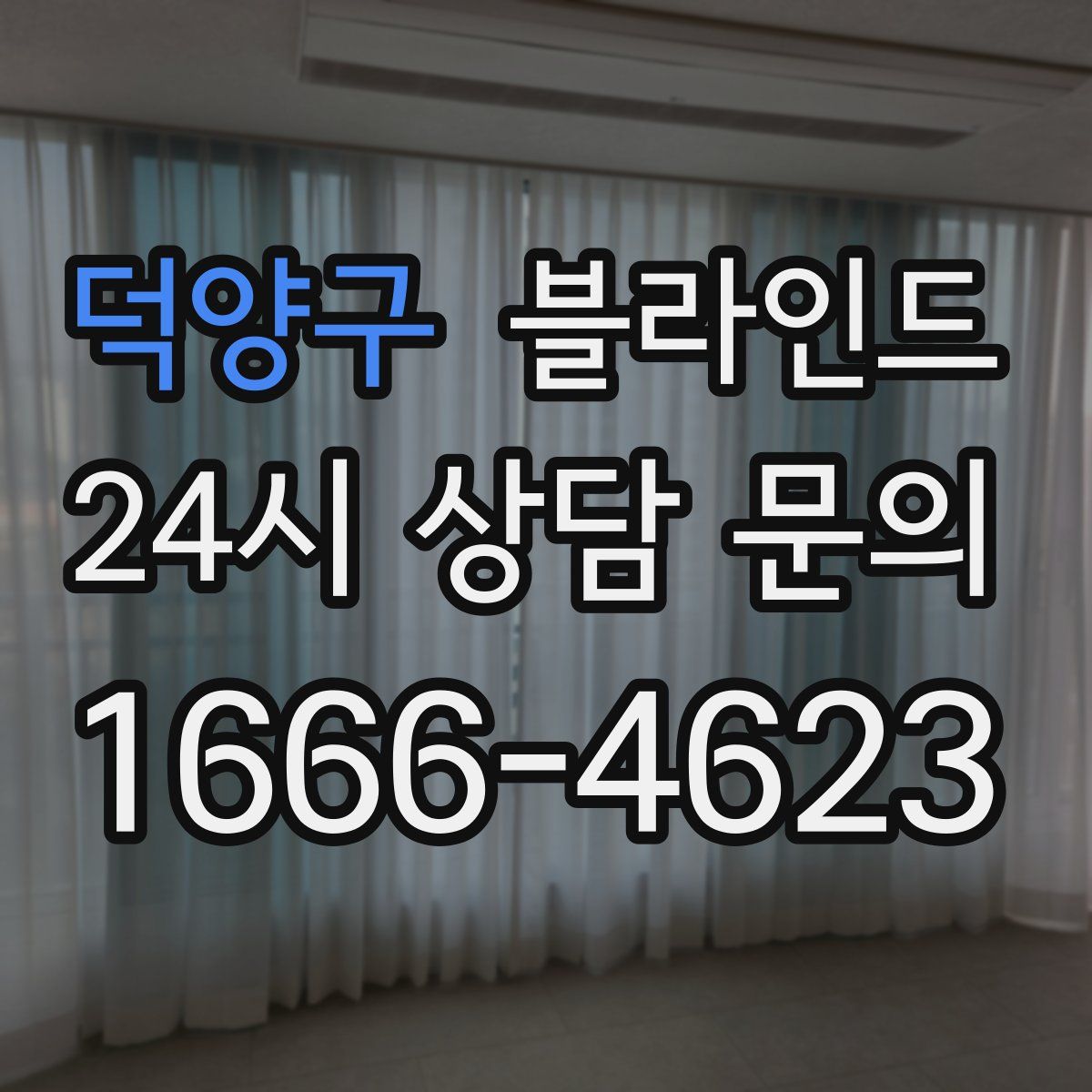 덕양구 블라인드