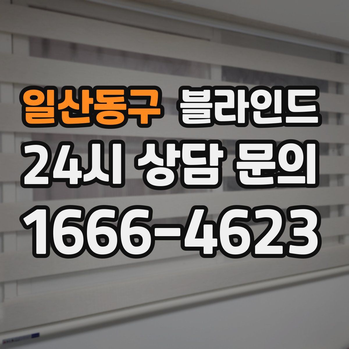 일산동구 블라인드