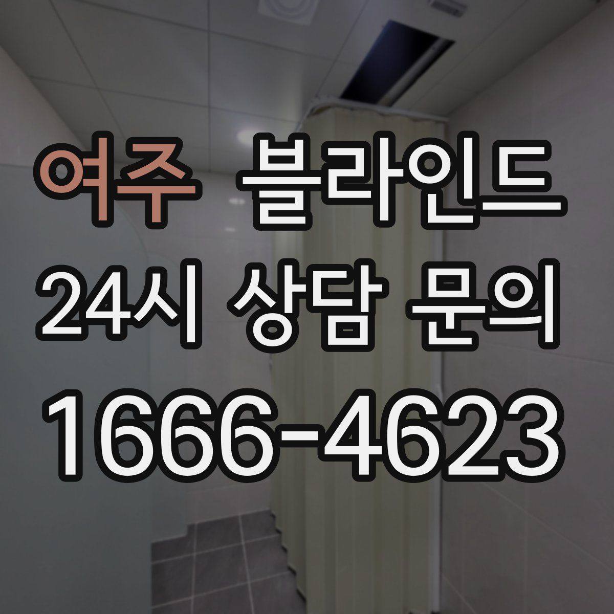 여주 블라인드