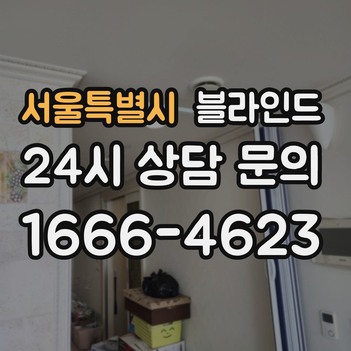 서울특별시 블라인드