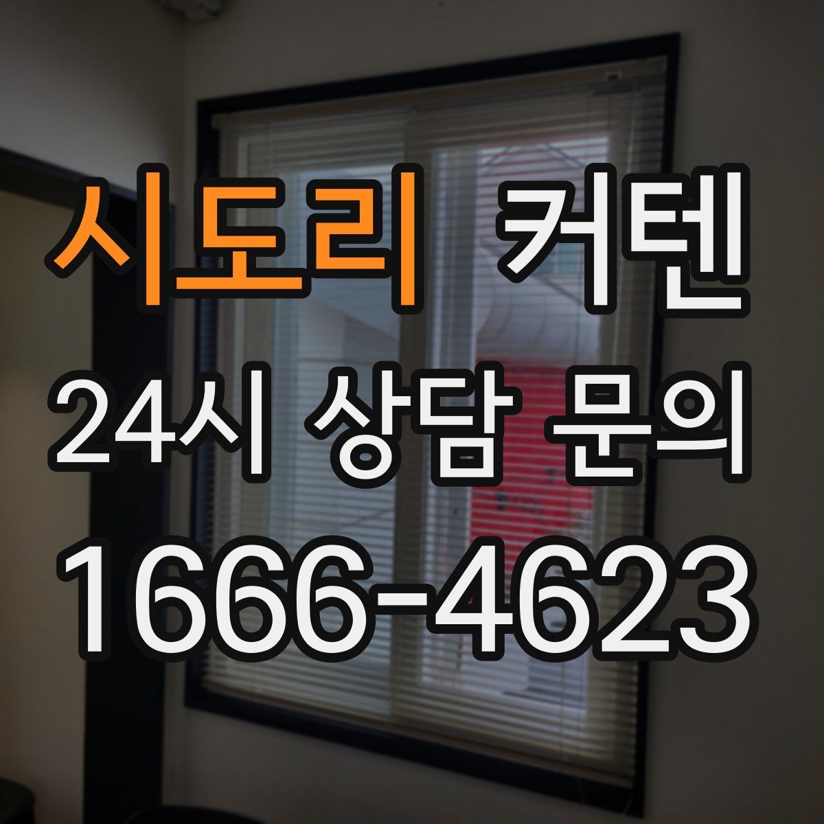 시도리 커텐