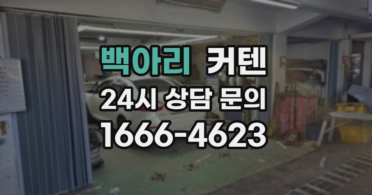백아리 커텐