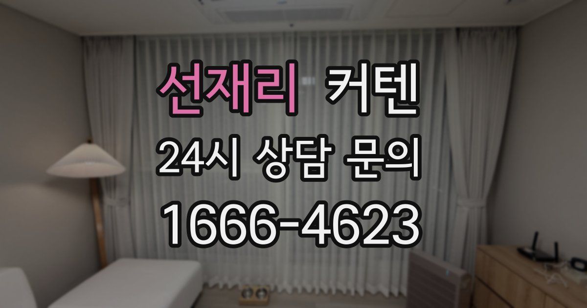 선재리 커텐