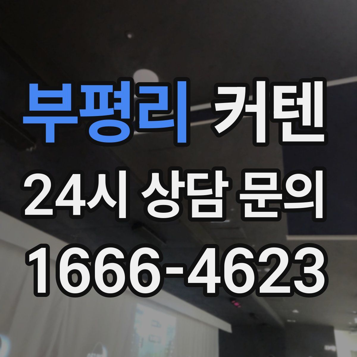 부평리 커텐
