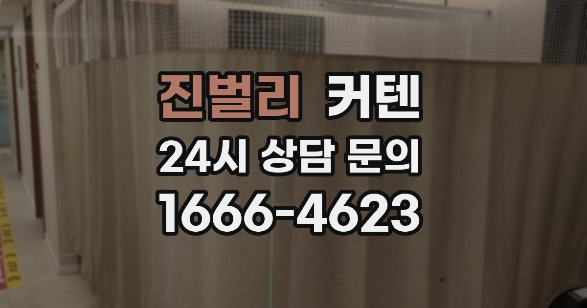 진벌리 커텐