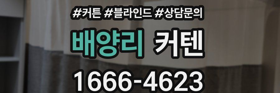 배양리 커텐