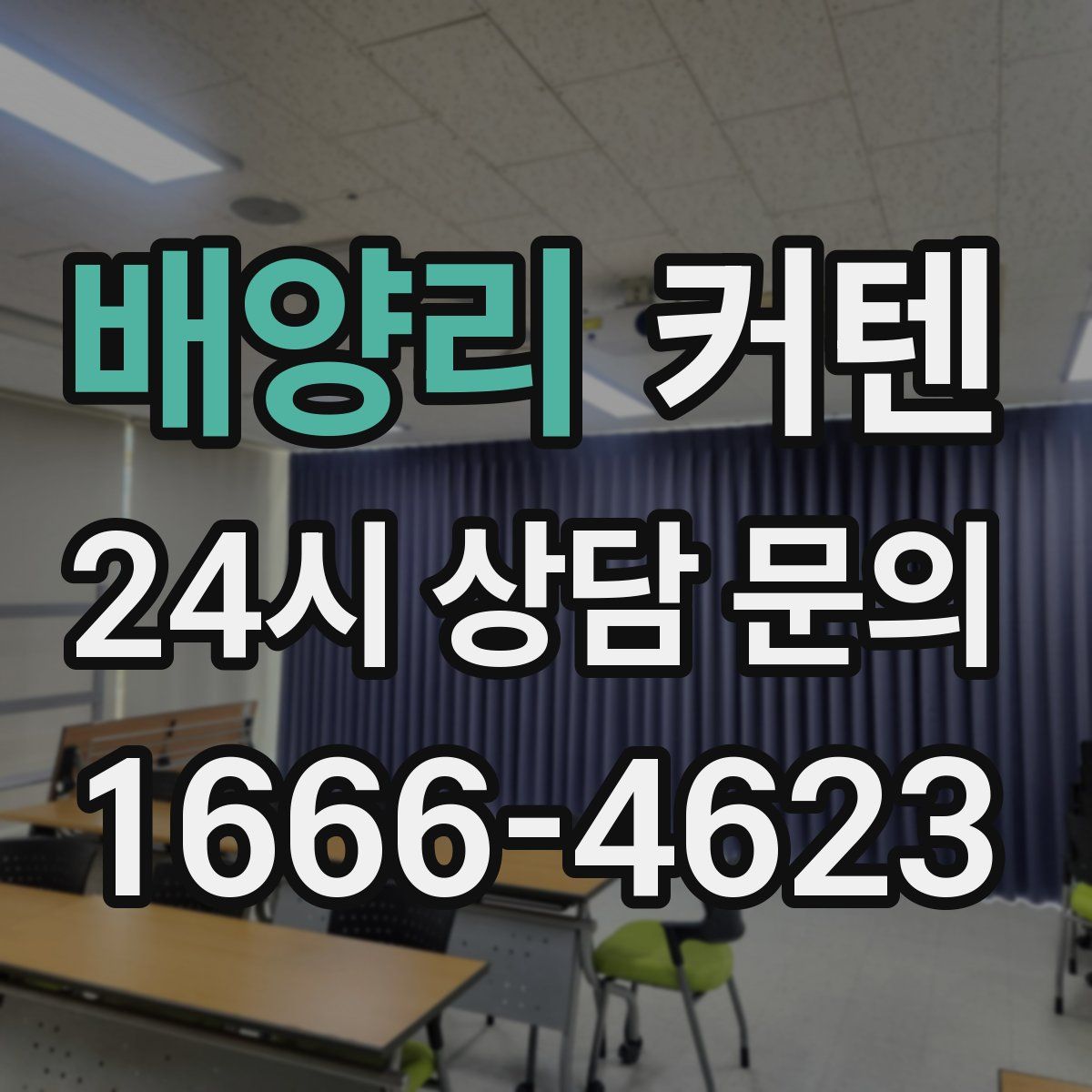 배양리 커텐