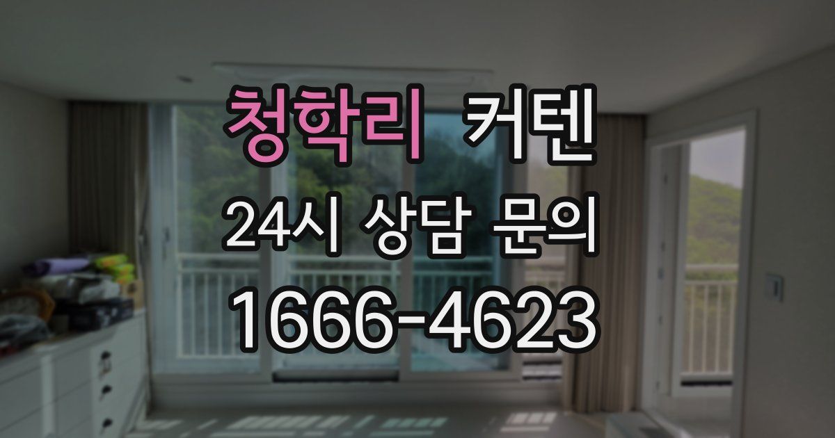 청학리 커텐