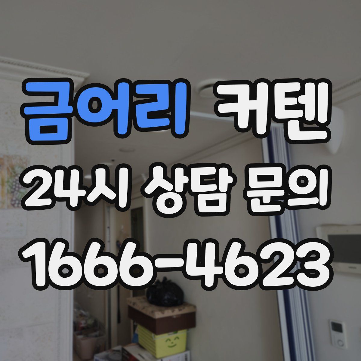 금어리 커텐