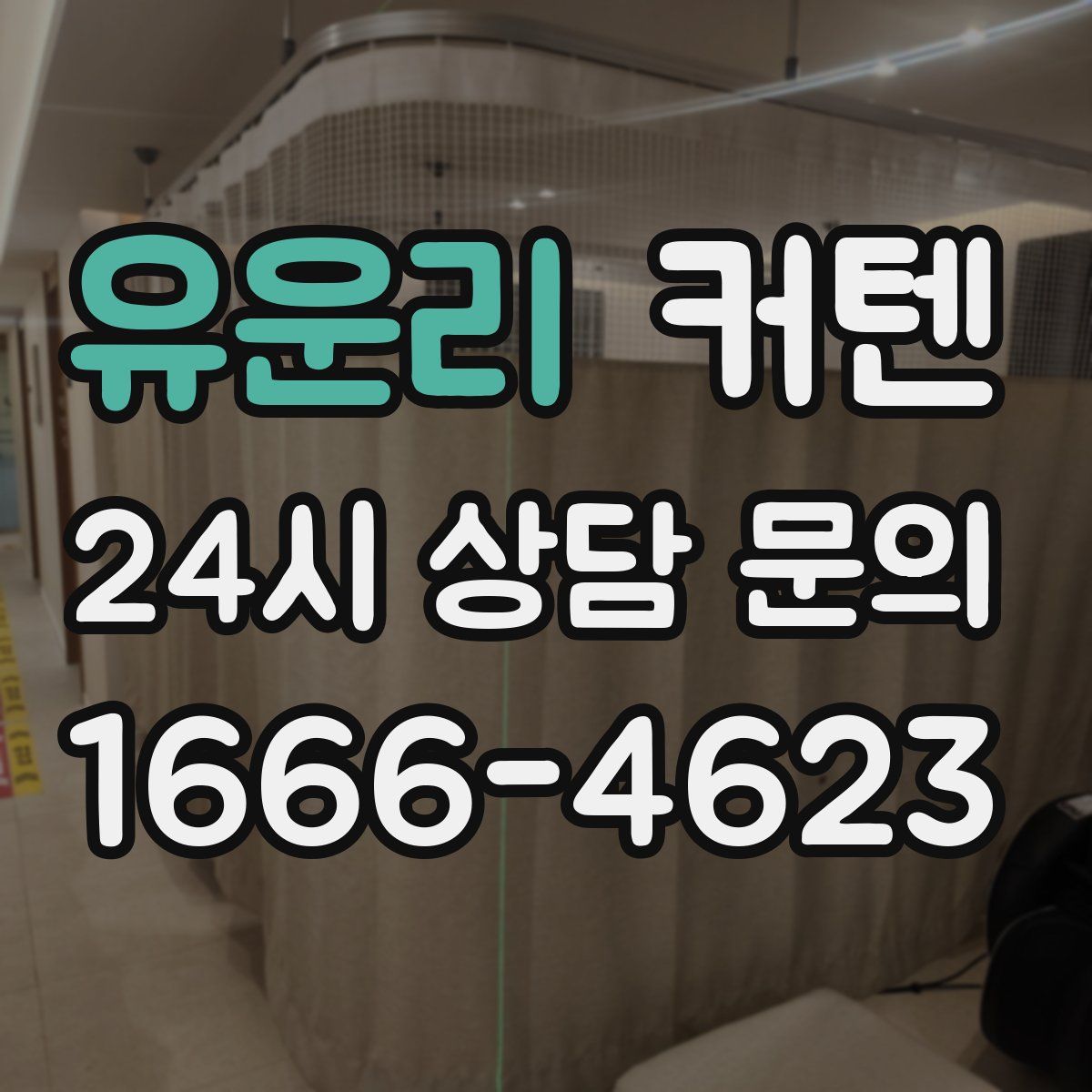 유운리 커텐