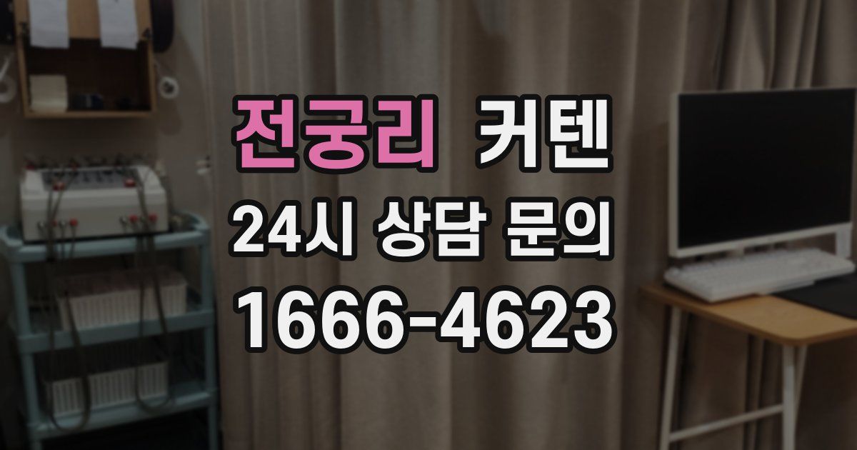 전궁리 커텐
