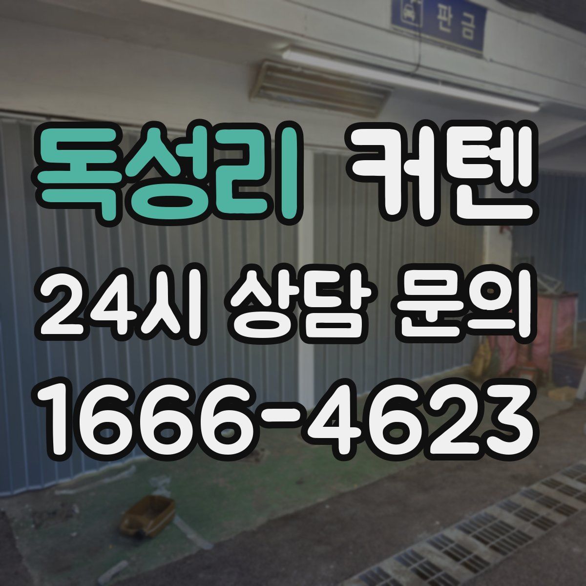 독성리 커텐