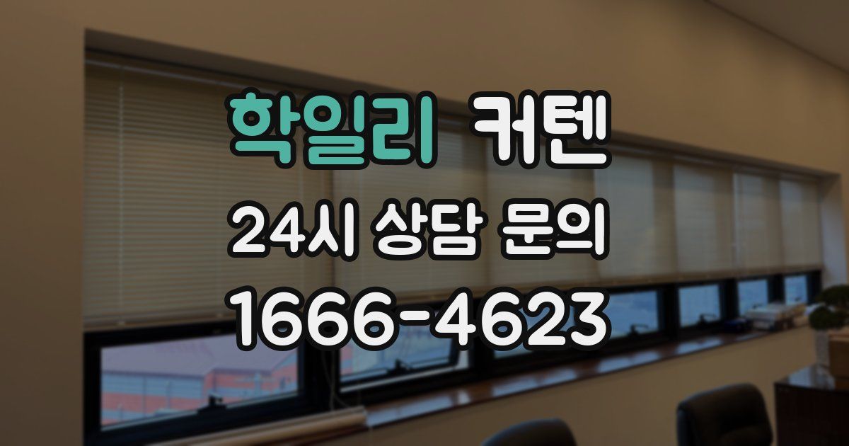 학일리 커텐