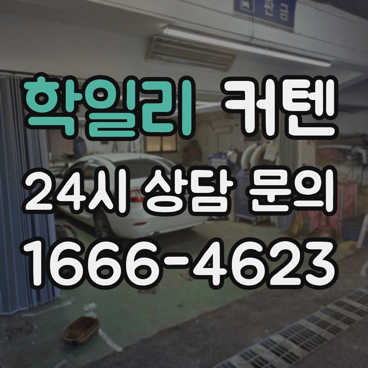 학일리 커텐