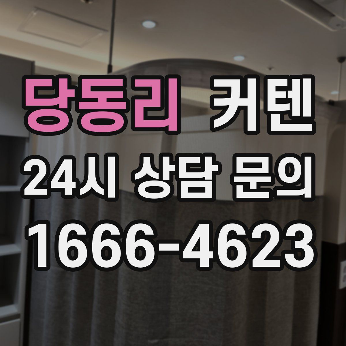 당동리 커텐