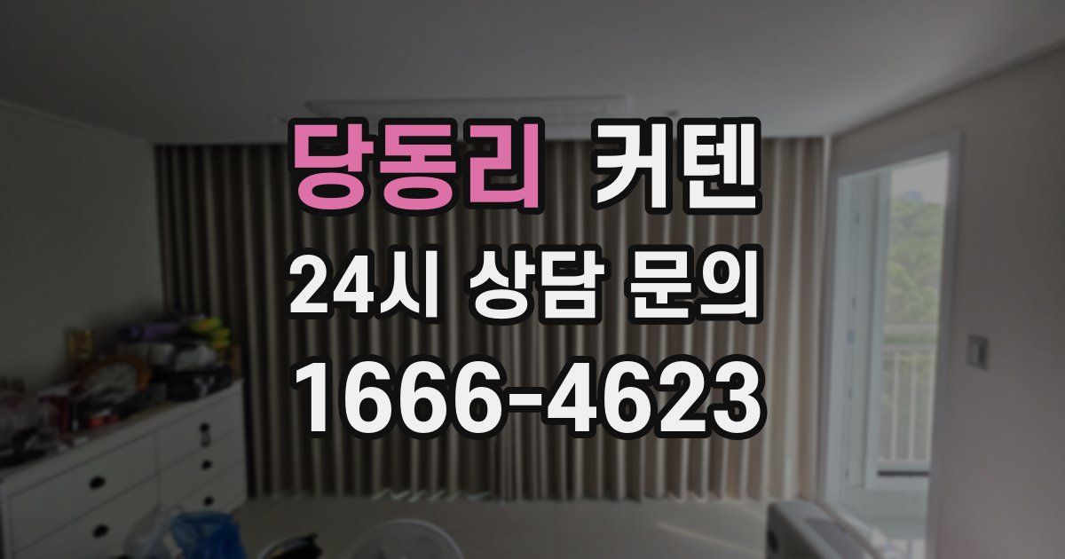 당동리 커텐