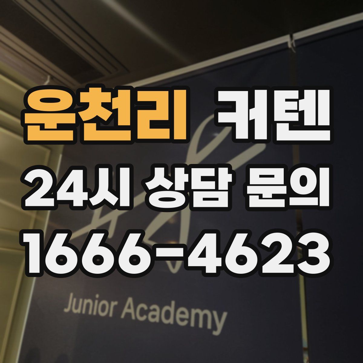 운천리 커텐