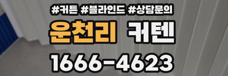 운천리 커텐