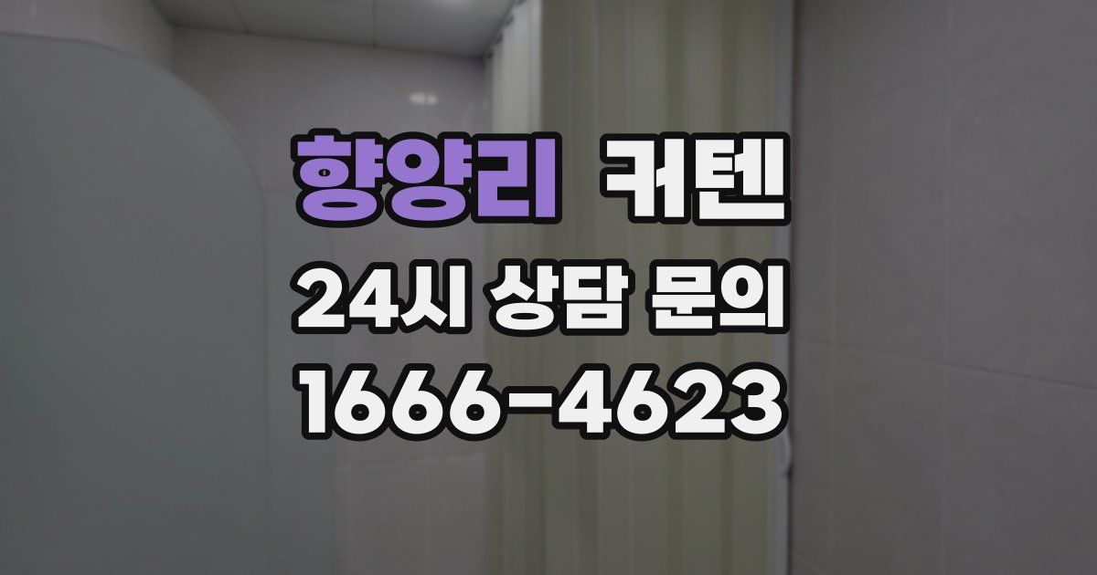 향양리 커텐
