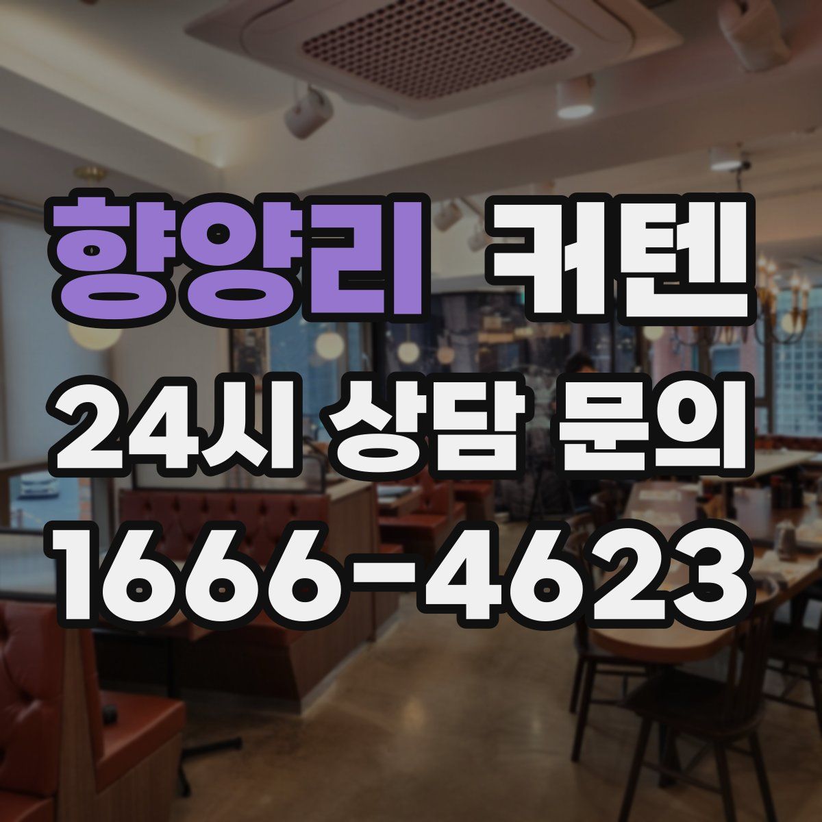 향양리 커텐