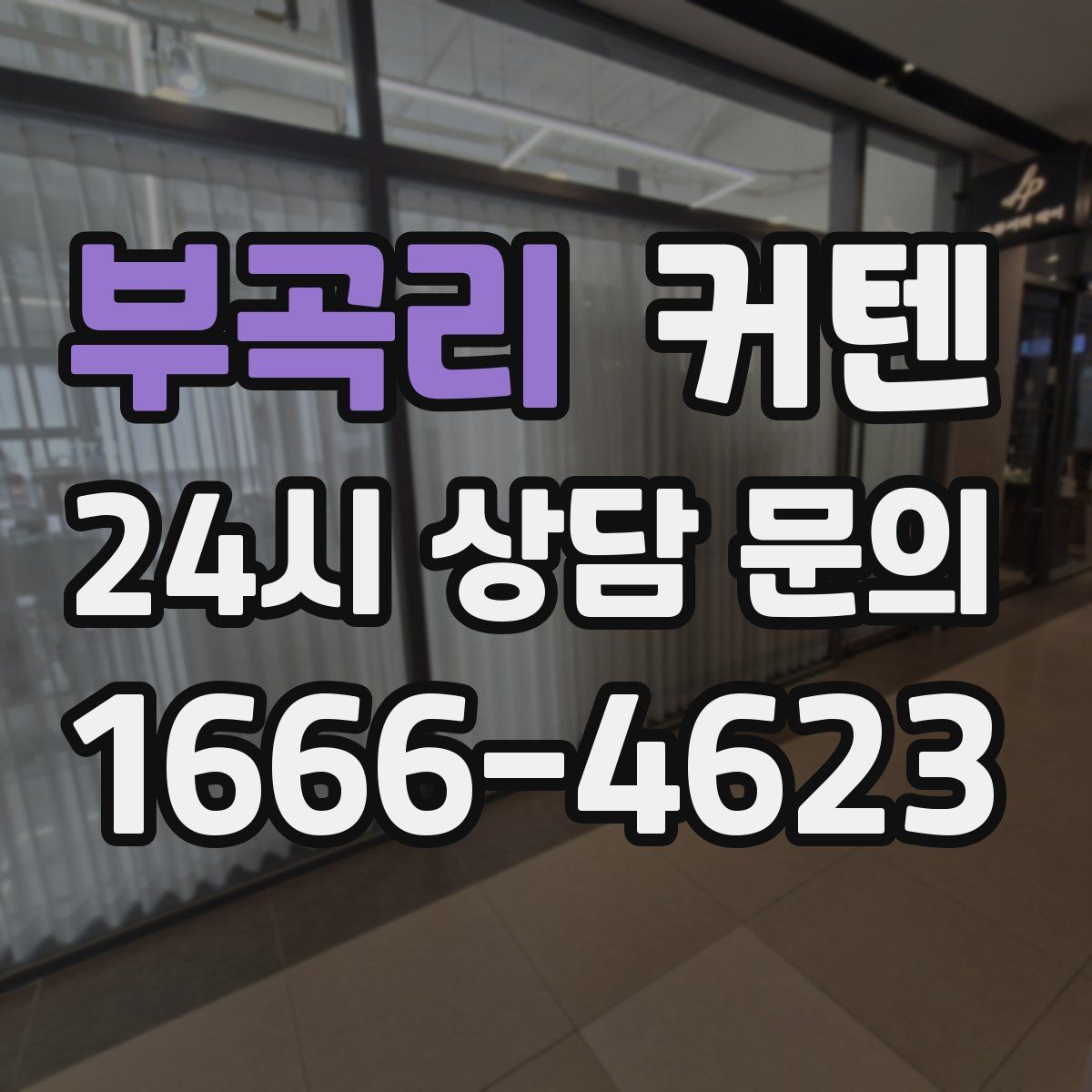 부곡리 커텐