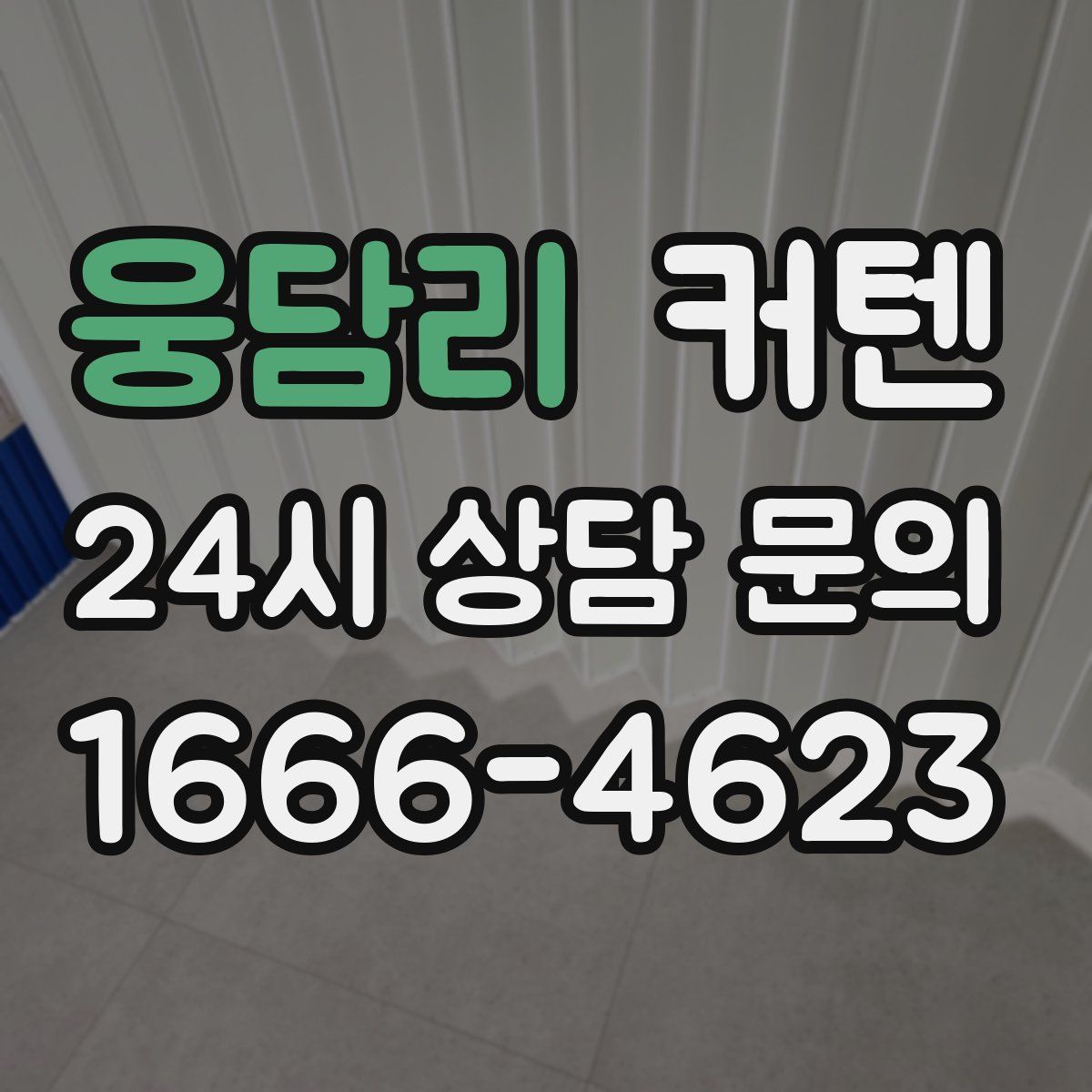 웅담리 커텐