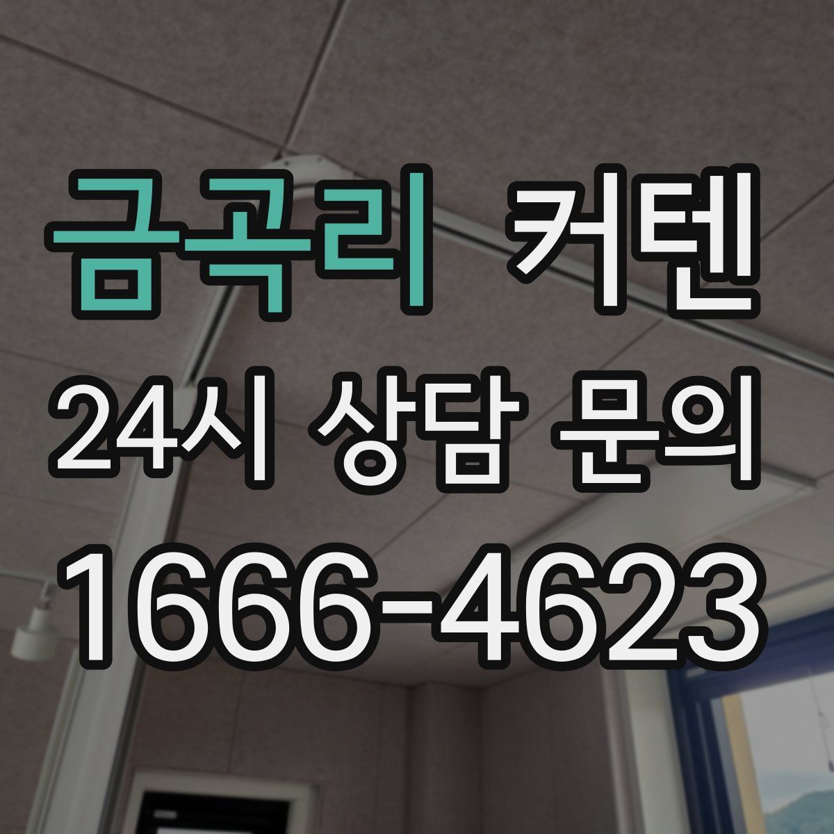 금곡리 커텐