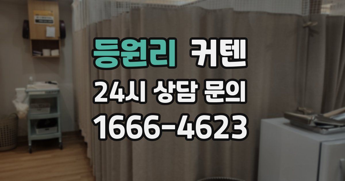 등원리 커텐