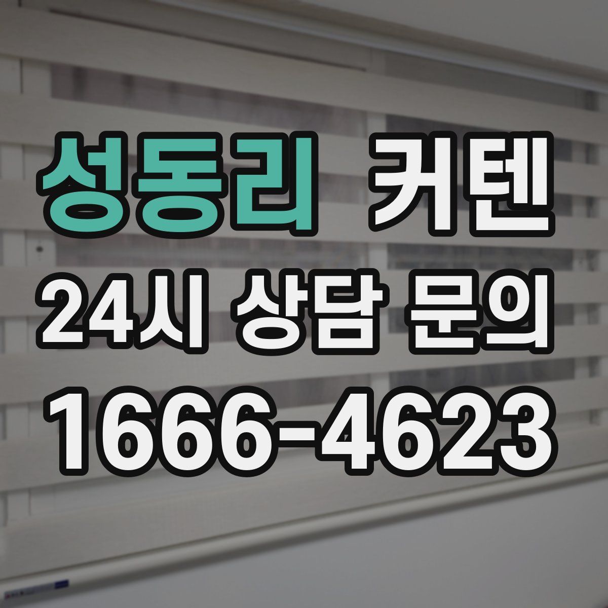 성동리 커텐