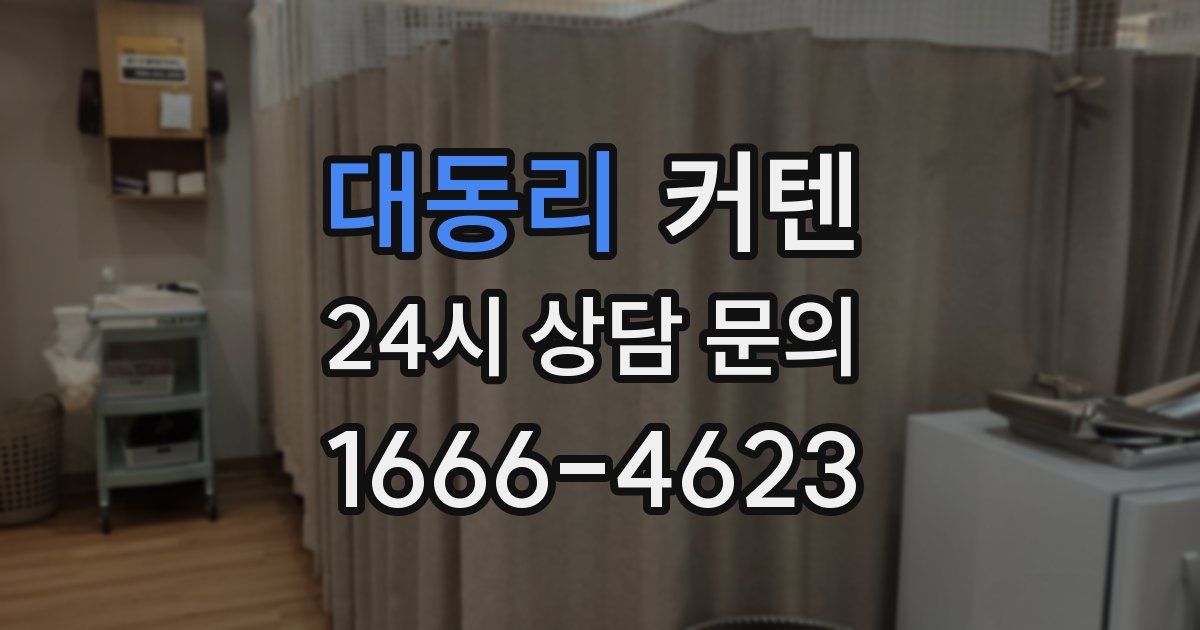 대동리 커텐