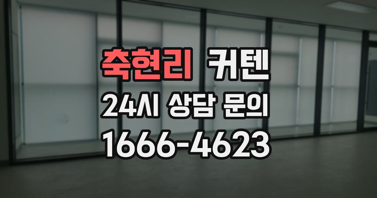 축현리 커텐