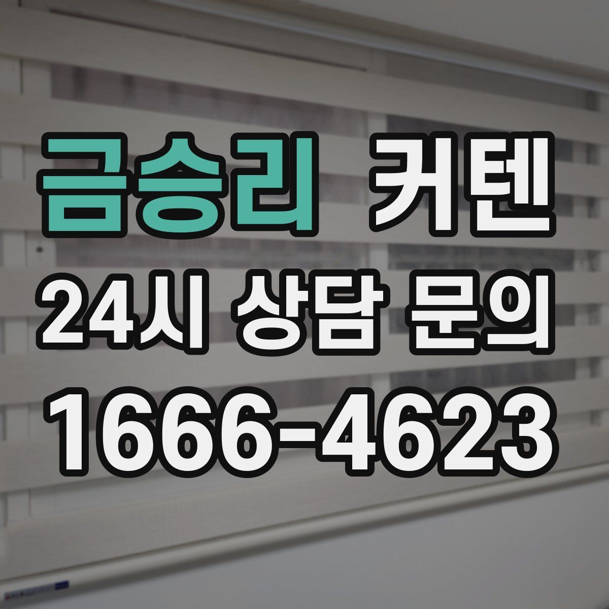 금승리 커텐