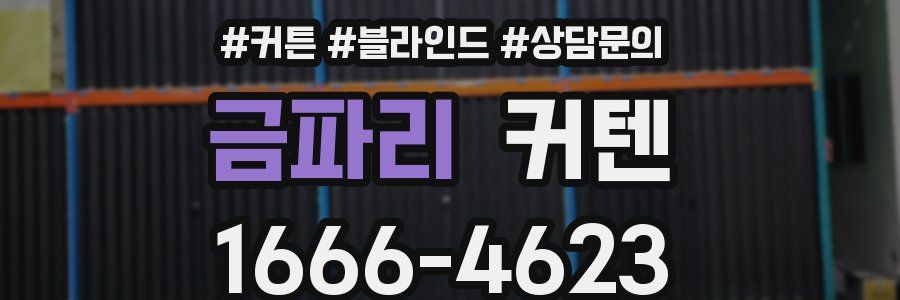 금파리 커텐