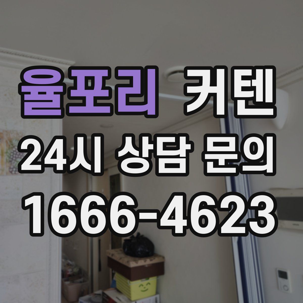 율포리 커텐