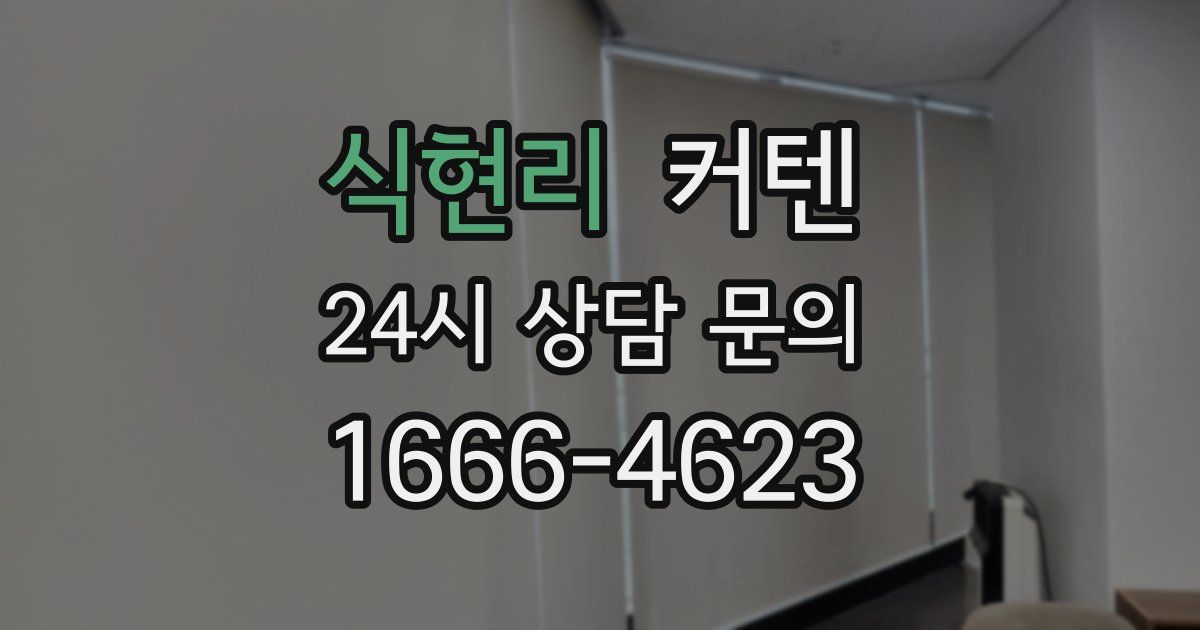 식현리 커텐